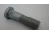 Other parts Wheel bolt:42117465