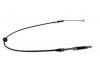 Brake Cable:5801638729