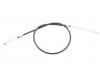 Brake Cable:504082064